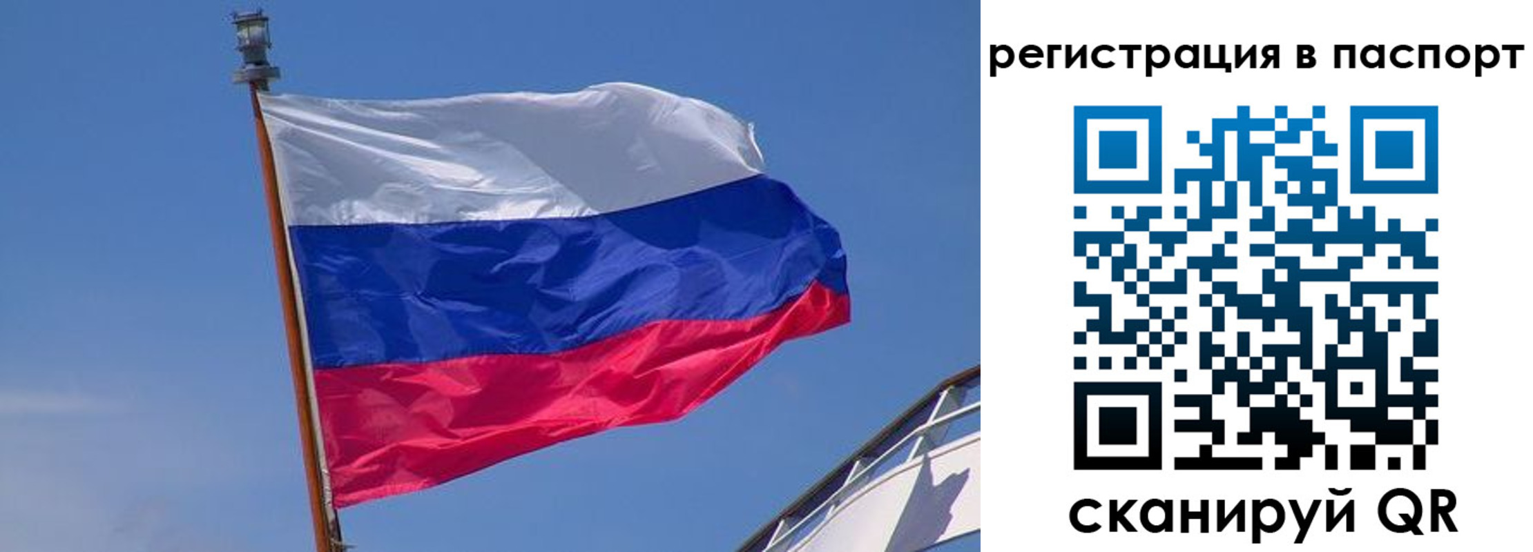 прописка законно в Курчатове